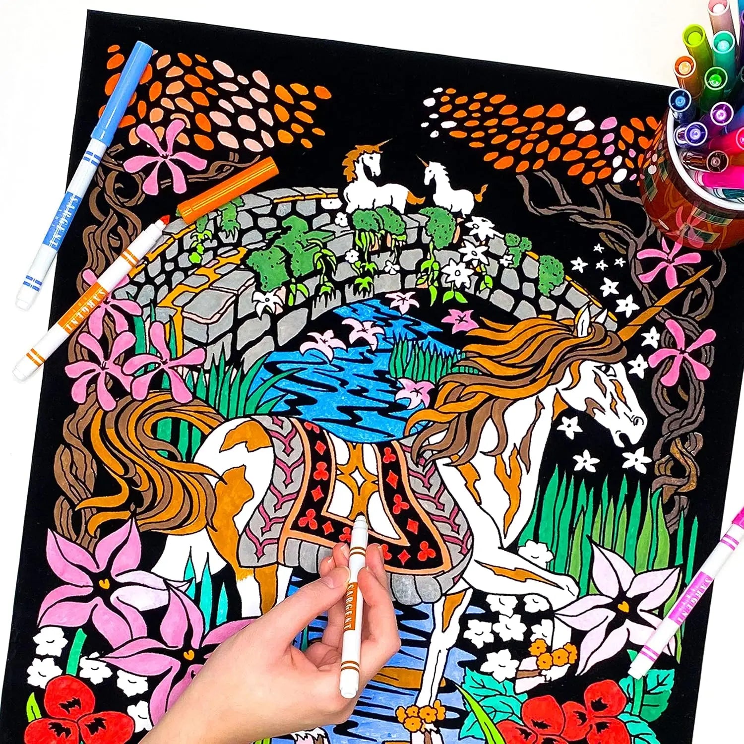 Posters de Colorir em Veludo - Conjunto de 4 Unidades para Todas as Idades 6cc12a-b8