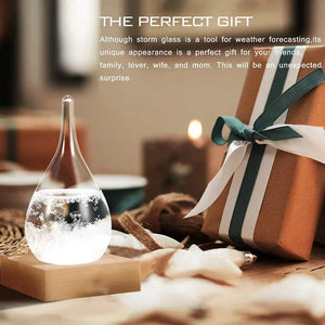 description_selected1