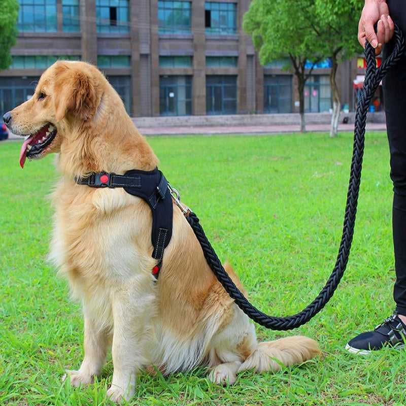 🐕 Trela Resistente para Cães – Segurança e Conforto em Cada Passeio! 🦮✨