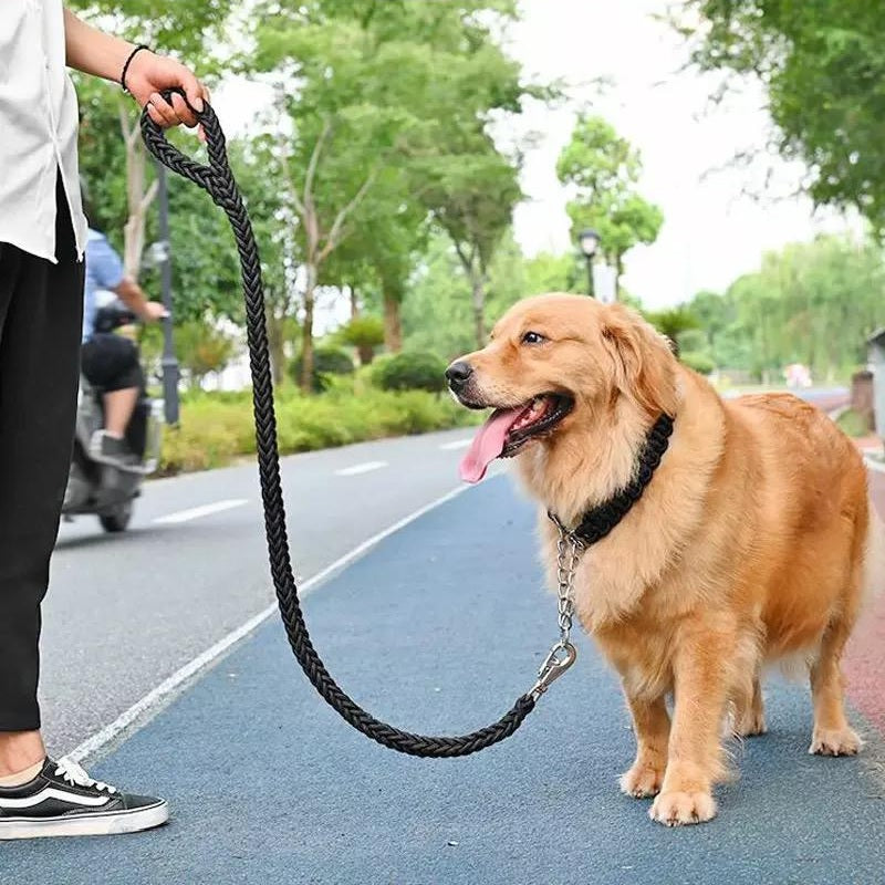 🐕 Trela Resistente para Cães – Segurança e Conforto em Cada Passeio! 🦮✨